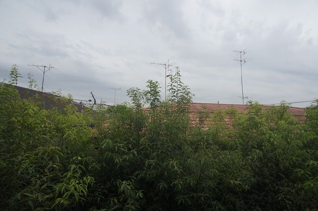 眺望　★お問い合わせはタウンハウジング府中店まで★