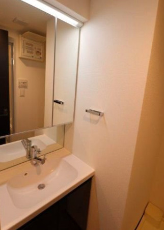 洗面設備　独立洗面台、小物を置くことができて便利です