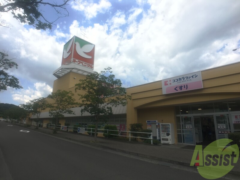 スーパー　ヨークベニマル泉古内店（スーパー）まで1219m