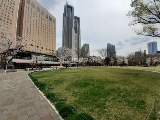 公園　新宿中央公園（公園）まで1257m