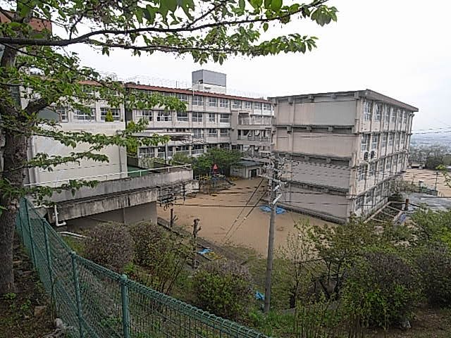 小学校　西宮市立苦楽園小学校（小学校）まで1033m