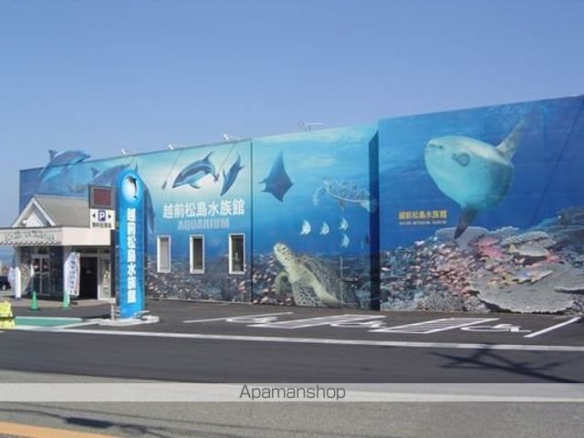 その他　越前松島水族館（その他）まで1700m