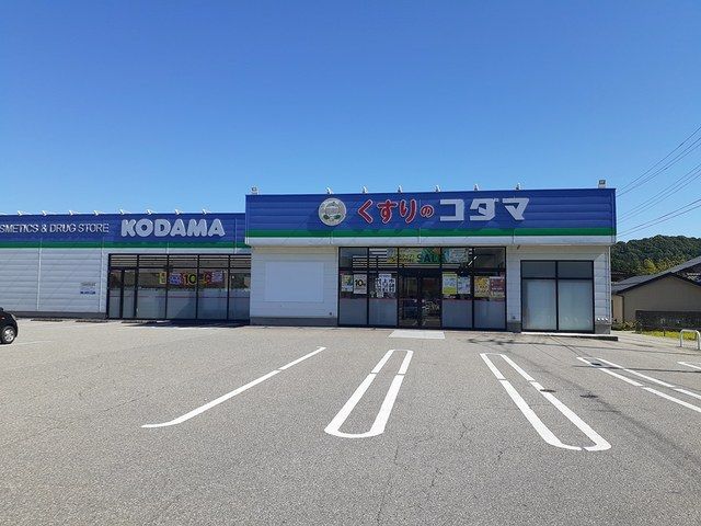 ドラックストア　クスリのコダマ村上店（ドラッグストア）まで350m