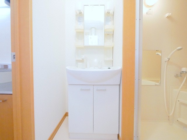 洗面設備　シャンプードレッサー付きです♪