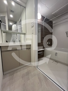 洗面設備　アーバネックス南新町　洗面所