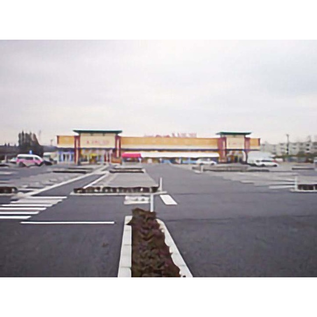 スーパー　カスミ千代田店（スーパー）まで980m