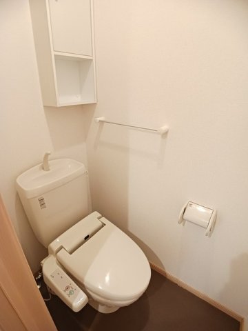 トイレ　トイレも気になるポイント