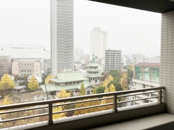 眺望　☆眺望良好☆