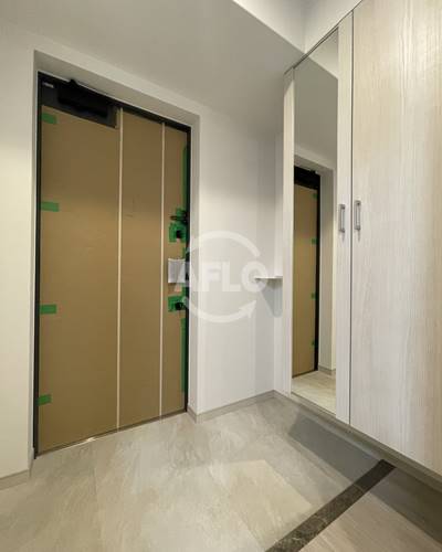 玄関　スプランディッド難波III　玄関