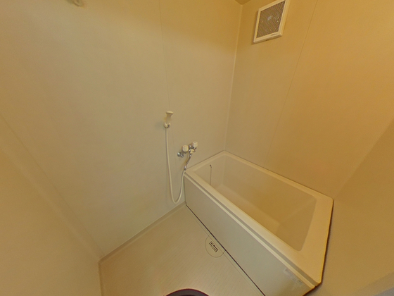 バス・シャワールーム　※別部屋の写真です