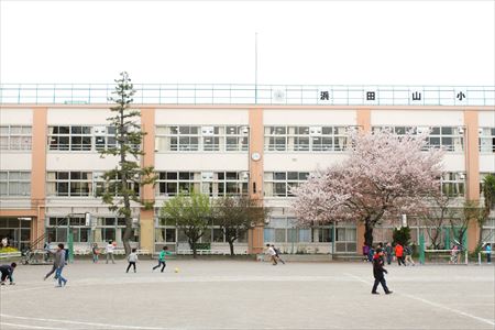 小学校　浜田山小学校（小学校）まで523m