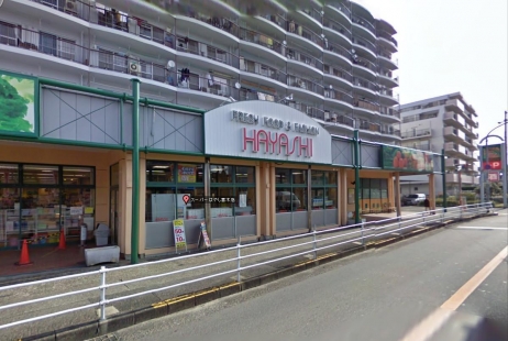 スーパー　スーパーはやし 富木店（スーパー）まで489m