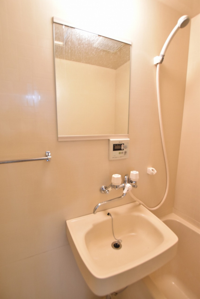 洗面設備　画像は別号室。ご参考にどうぞ