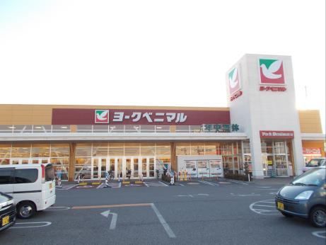 スーパー　ヨークベニマル（スーパー）まで1000m