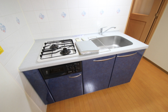 キッチン　※別号室の写真です