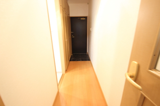 その他部屋・スペース　※別号室の写真です