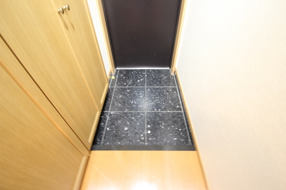 玄関　※別号室の写真です