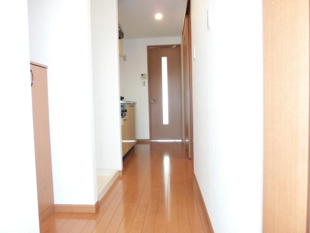 玄関　オシャレなダウンライト照明