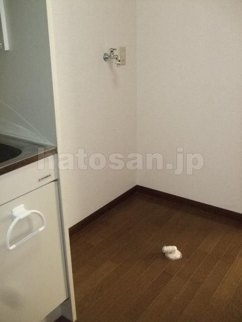 その他　洗濯機置場