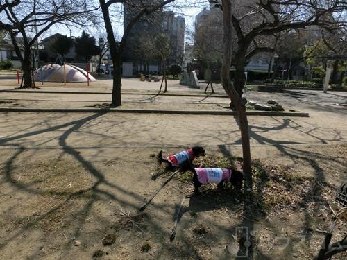 公園　玉出西公園（公園）まで345m