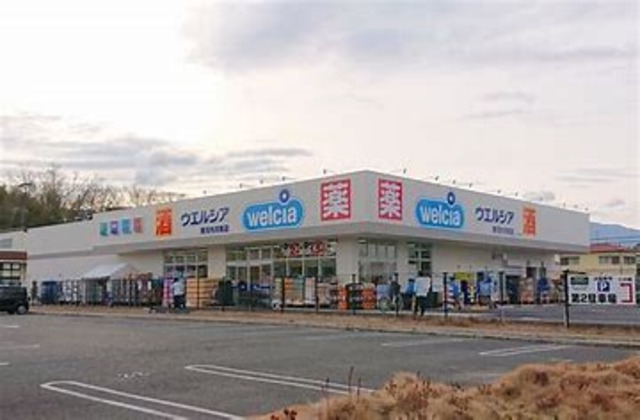 ドラックストア　ウエルシア南河内河南店（ドラッグストア）まで694m