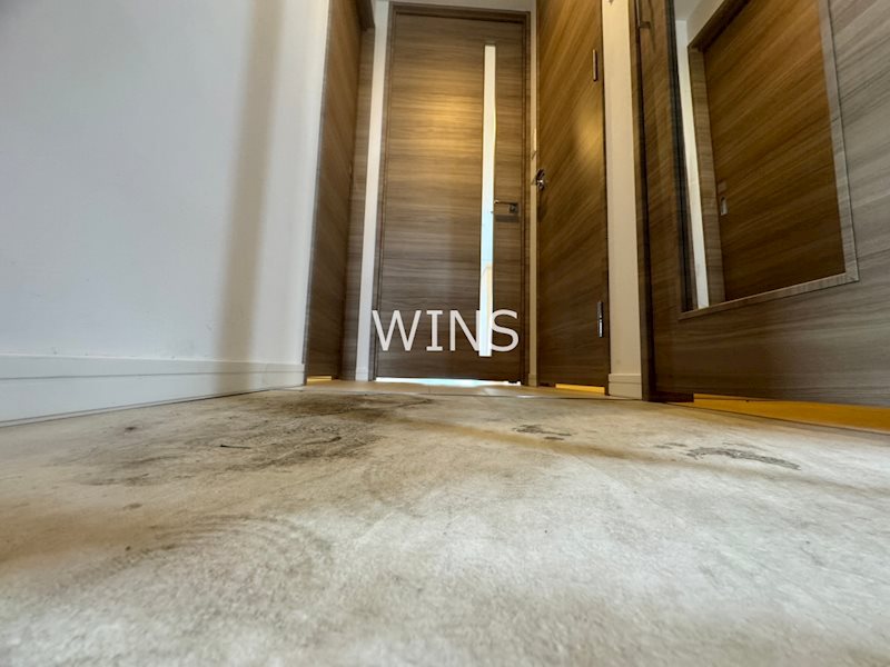 玄関　※別部屋参考写真です。