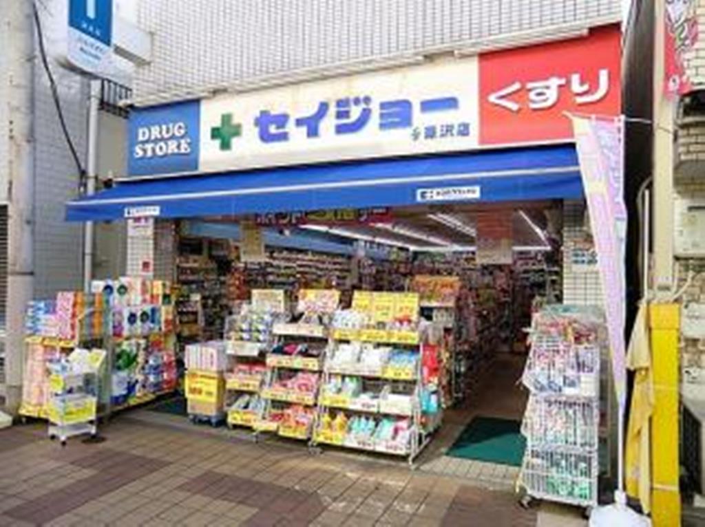 ドラックストア　ココカラファインくすりセイジョー深沢店（ドラッグストア）まで728m