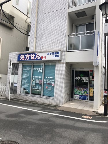 ドラックストア　みずほ薬局上町店（ドラッグストア）まで308m