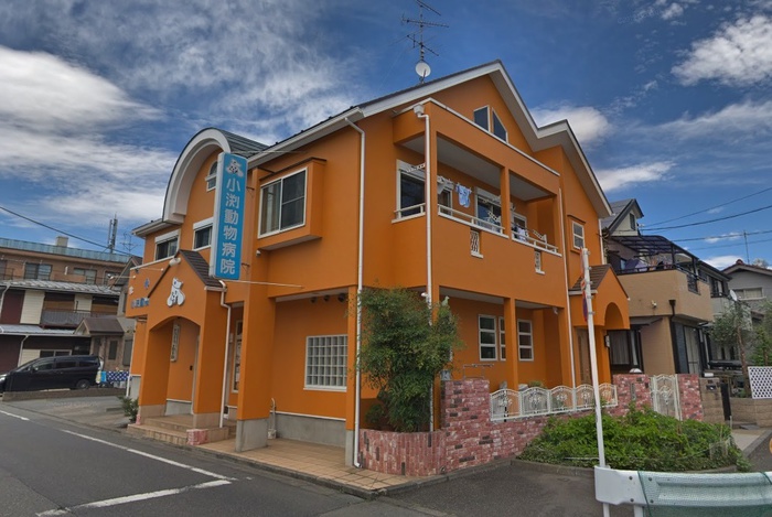 病院　小渕動物病院（病院）まで500m