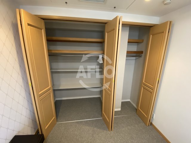 収納　OAPレジデンスタワー西館（オーエーピー）　クローゼット
