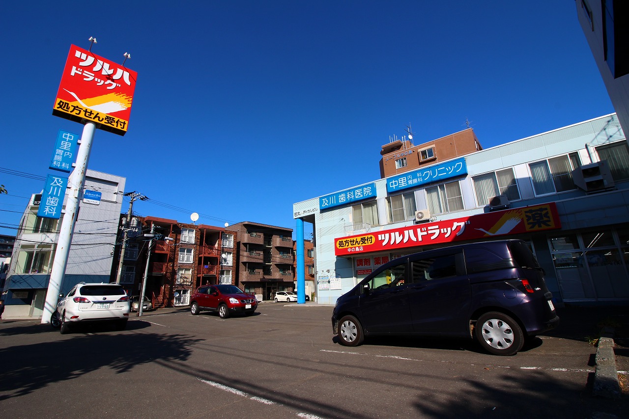 ドラックストア　ツルハドラッグ平岸3条店（ドラッグストア）まで225m