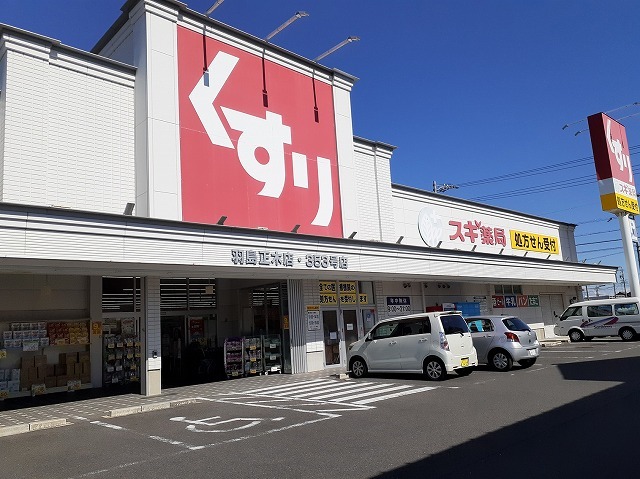 ドラックストア　スギドラッグ羽島正木店（ドラッグストア）まで500m