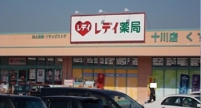 ドラックストア　レディ薬局十川店さん（ドラッグストア）まで850m