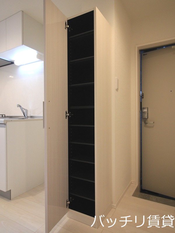 玄関　画像は同型タイプの為、現状を優先致します。