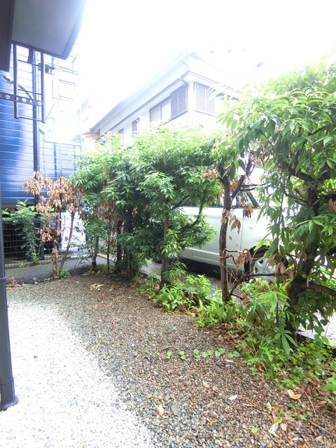 バルコニー　１階は専用庭付き