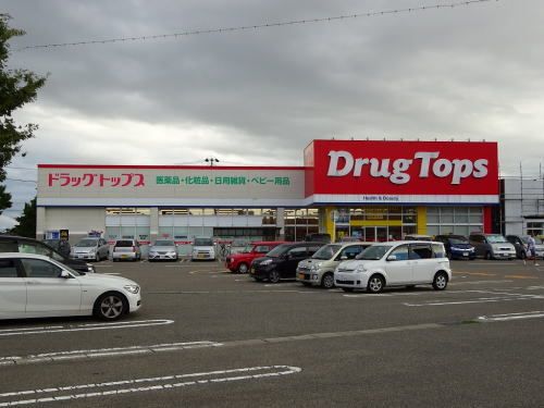 ドラックストア　ドラッグトップス　河渡店（ドラッグストア）まで1100m