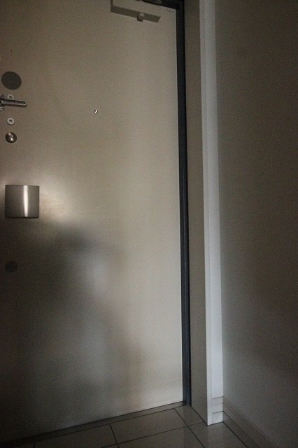 玄関　同物件、別号室のものです。