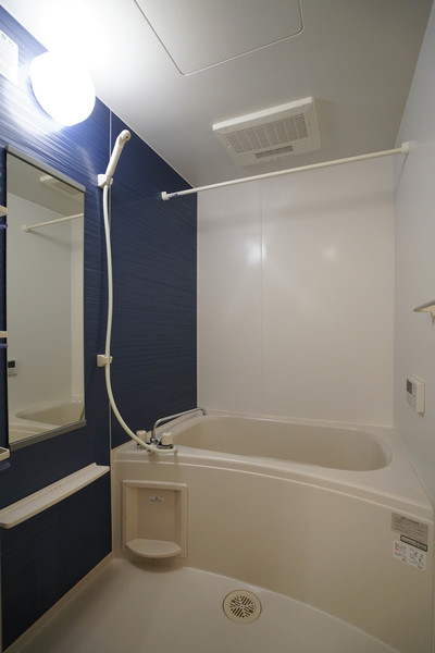 バス・シャワールーム　同じ建物の別なお部屋