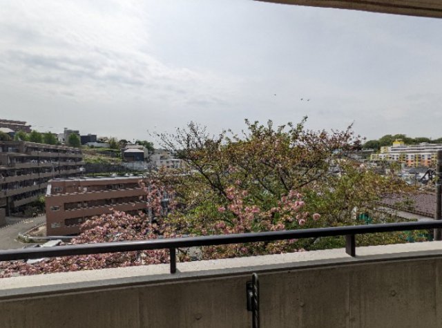 眺望　Ｔ’ｓ　ｇａｒｄｅｎ　西寺尾　E棟