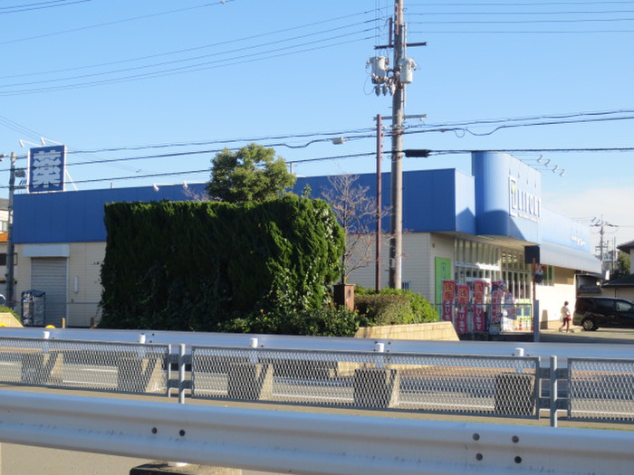 ドラックストア　ライフォート（ドラッグストア）まで300m