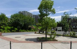 公園　豊住公園（公園）まで410m