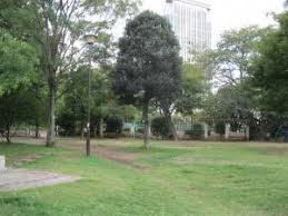 公園　亀塚公園（公園）まで594m