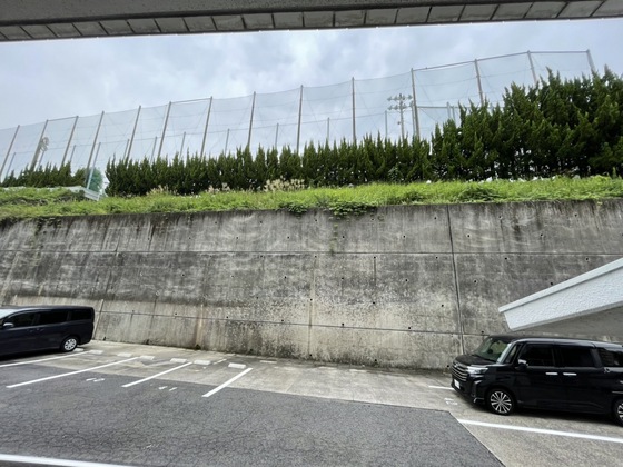 眺望　※別部屋の写真です