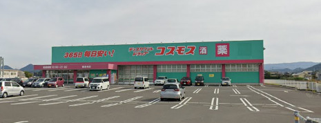 その他　コスモス（その他）まで1403m
