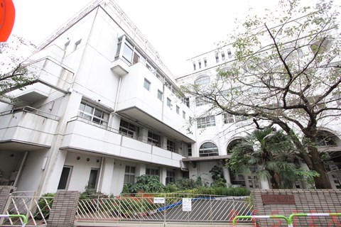 小学校　文京区立湯島小学校（小学校）まで622m