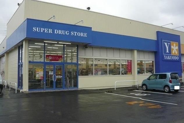 ドラックストア　薬王堂久慈店（ドラッグストア）まで831m