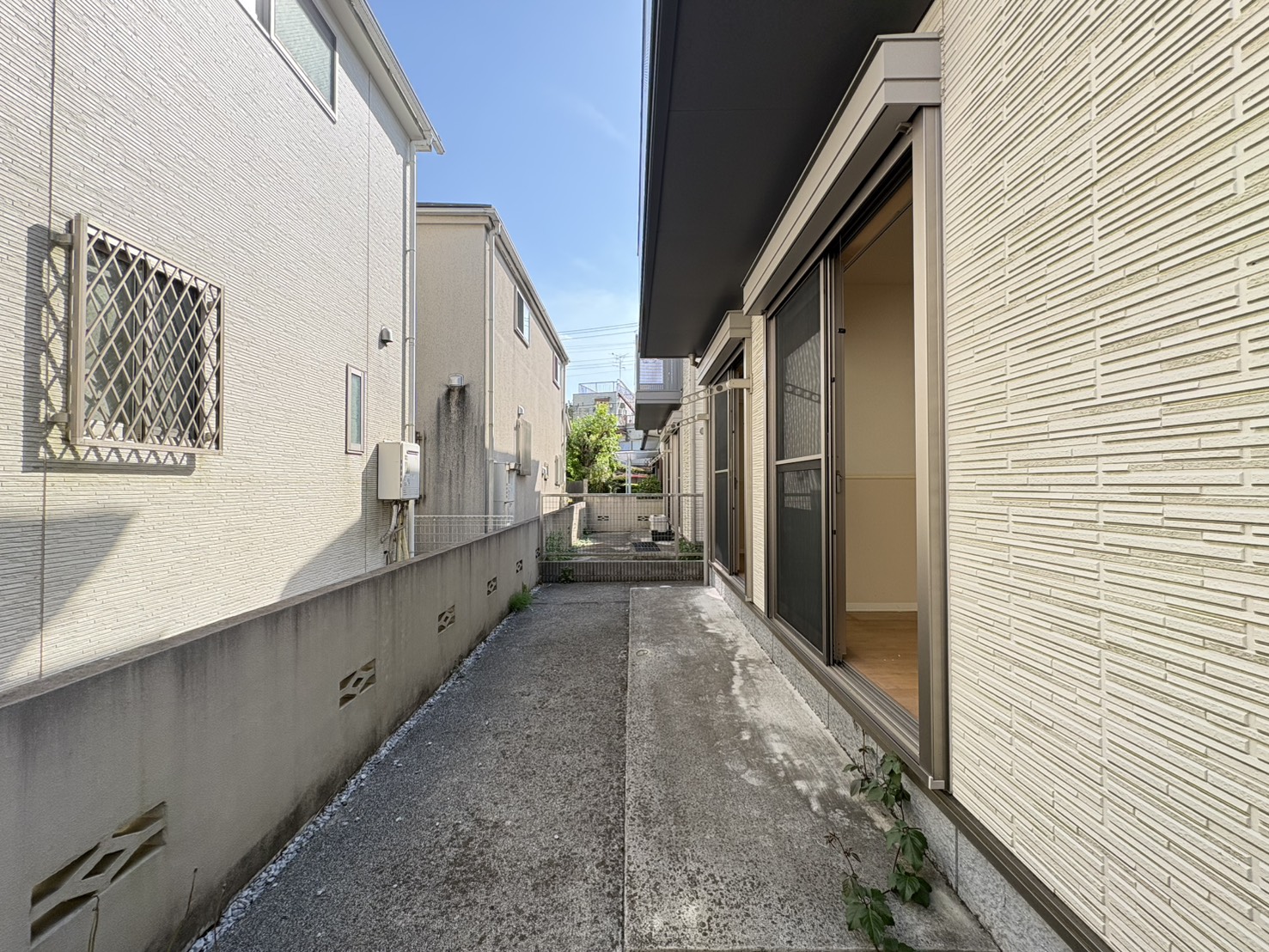 庭　2026.5.2撮影　清掃・リフォーム前