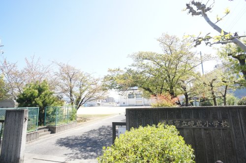 小学校　橿原市立晩成小学校（小学校）まで549m