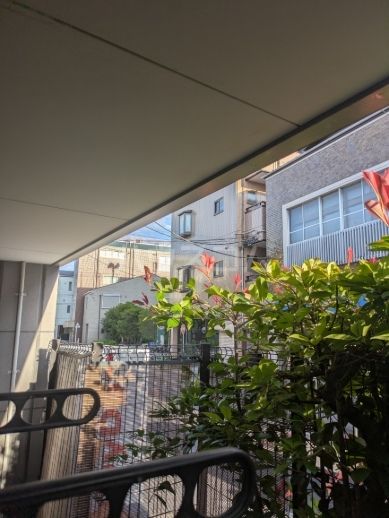 眺望