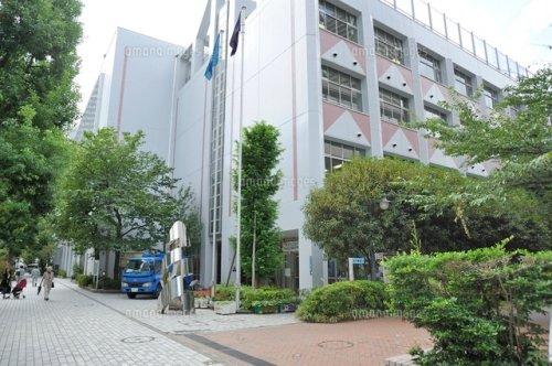 小学校　中央区立佃島小学校（小学校）まで335m